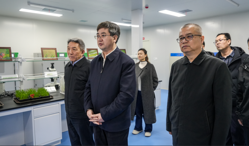 1764926885469652.png image.png